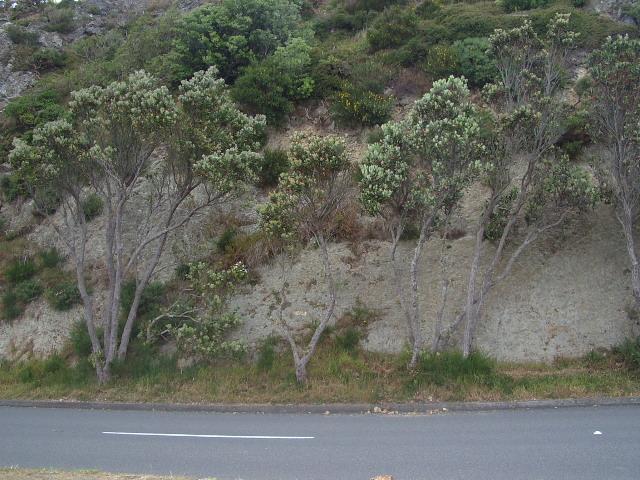 Photo of current place