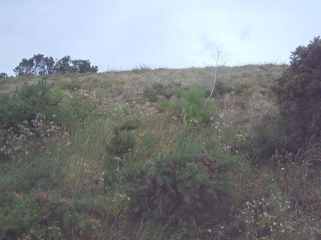 Photo of current place