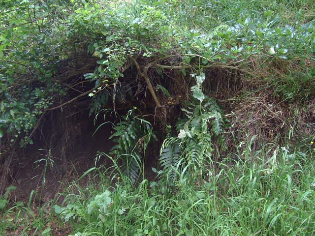 Photo of current place