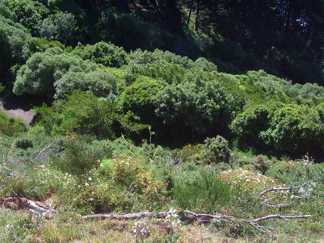 Photo of current place